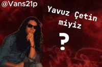 Vans21P GIF