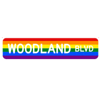 Pride Sticker by Stetson University