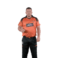 sunriserseasterncape cricket adam sec sunrisers Sticker
