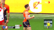 finals footy GIF by AFL