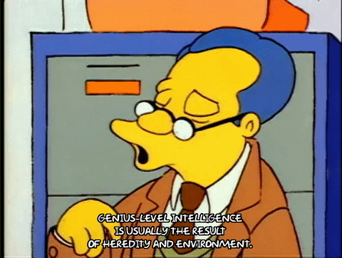 Season 1 GIF by The Simpsons
