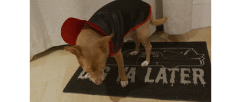 Vampire Dog Sticker by Launch Over Films LLC