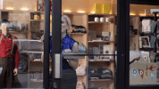 season 1 bird GIF by Portlandia