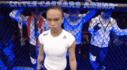 mma ufc218 GIF by UFC