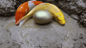 Koi Fish Art GIF by UnusualCooking