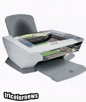 Spfcnacao_ palmeiras santos corinthians sep GIF