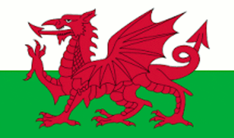 Dragon Wales GIF by Nos Da