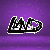 Brand Llano GIF by @VidMusic