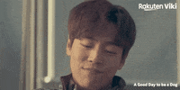 Cha Eun Woo Kdrama Couple GIF by Viki