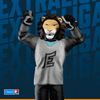 Hockey Vary GIF by Tipsport extraliga