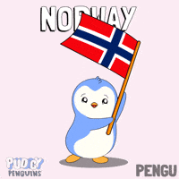 Penguin Flag GIF by Pudgy Penguins