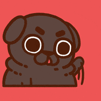Give Me Attention GIF by Puglie Pug