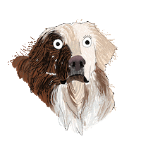 Dog Cartoon Sticker