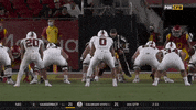 gostanford  GIF