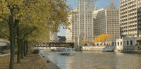 chicago illinois GIF