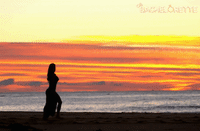 bacheloretteau GIF by The Bachelorette Australia