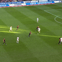 1 Fc Cologne Football GIF by 1. FC Köln