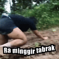 Radityohari GIF