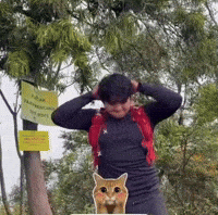Radityohari GIF