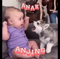 Anak GIF