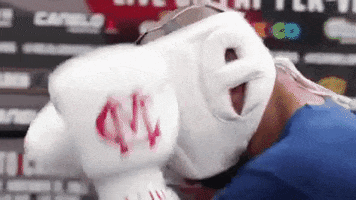 boxing Rocnationsports GIF by Miguel Cotto