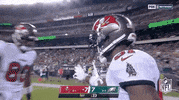Tampa Bay Buccaneers Football GIF by NFL