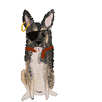 Pirate Woof Sticker by Andrea Caceres