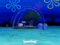 season 6 gullible pants GIF by SpongeBob SquarePants