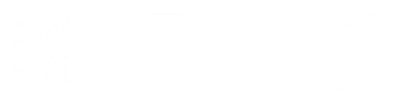 Paint Background Sticker