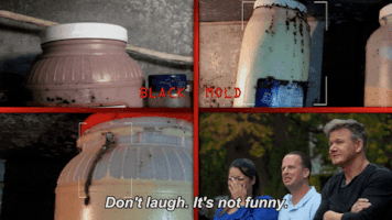 fox GIF by Gordon Ramsay's 24 Hours to Hell and Back