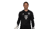 Fc Bayern Hello Sticker by Bundesliga