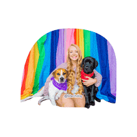 Rainbow Gay Sticker by Taylor Starcher