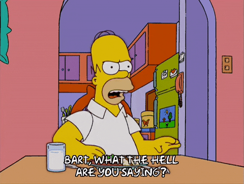 homer simpson episode 21 GIF