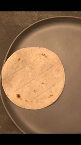 gabriellearruda giphygifmaker fish tacos GIF