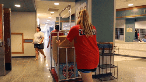 Moving Here I Come GIF by Ball State University
