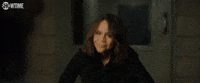 Season 2 GIF by SHOWTIME