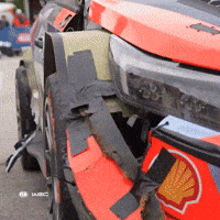 No Problem Support GIF by FIA World Rally Championship