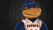 csubathletics  GIF