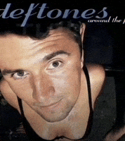 Around The Fur GIF