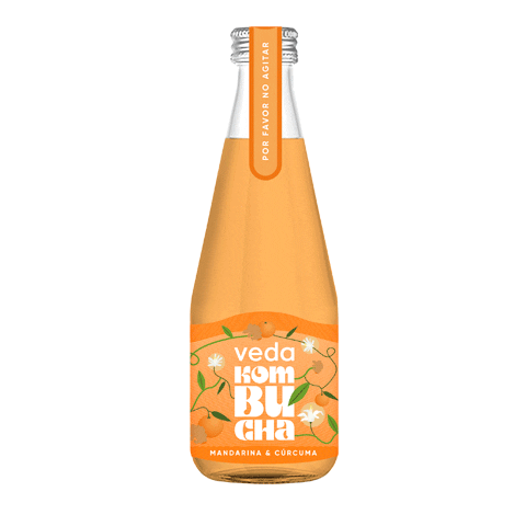 vedakombucha giphyupload kombuchadrink vedakombucha vedakombuchamandarina Sticker
