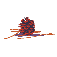 Pinecone Sticker by Highlands Food and  Wine