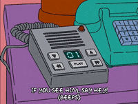 Lisa Simpson GIF by The Simpsons