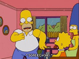 homer simpson GIF