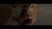 marvel avengers GIF