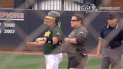 north dakota state bison GIF by NDSU Athletics