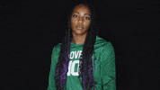 College Athletics GIF by USAO Drovers