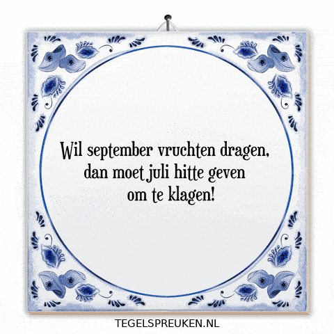 Humor September GIF by Tegelspreuken.nl