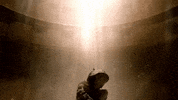 god is a woman GIF by Ariana Grande
