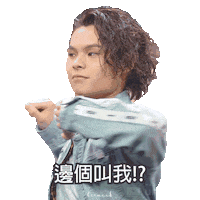 Tiger Sticker