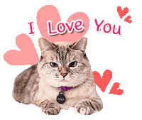 nalacat whitecoffeecat Sticker